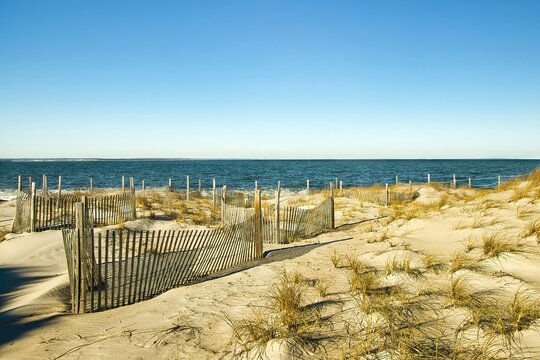 Winter day landscape of sand fences in the dunes beneath a sunny blue sky at Chapin Beach, on Cape Cod near Dennis, Massachusetts.