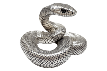 Coiled silver snake sculpture with detailed scales isolated on white transparent background, reptiles or wildlife, symbolizing Chinese Lunar New year