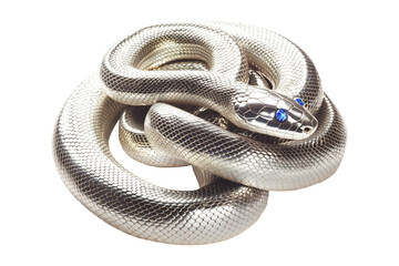 Coiled silver snake sculpture with detailed scales isolated on white transparent background, reptiles or wildlife, symbolizing Chinese Lunar New year