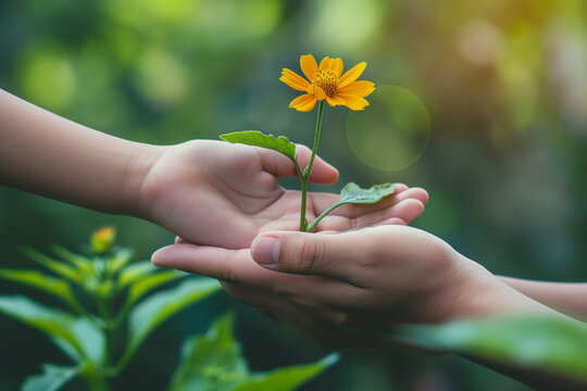 Heartwarming Image of Two Hands Gently Holding a Vibrant Yellow Flower, Symbolizing Love, Compassion, and the Spirit of Random Acts of Kindness in a World That Needs More Generosity and Hope