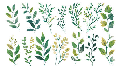 Fototapeta premium illustration hand-drawn leaves branches simple shapes flat colors botanical minimalistic design set