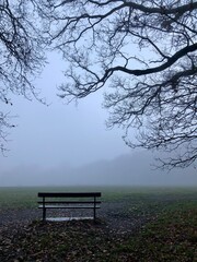bench in the fog in HIghgate Woods, North London