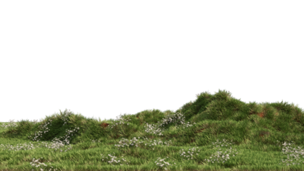 Landscape Grass & Chamomile Flower no background 