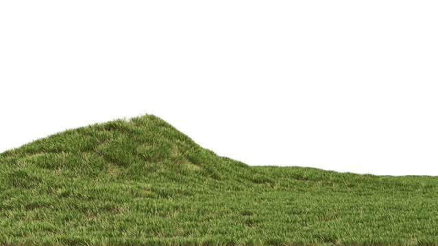 Grass landscape no background 