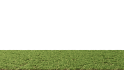 Flat landscape Grass no background 