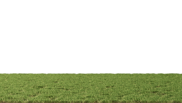 Flat landscape Grass no background 