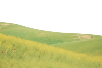 Obraz premium PNG Summer land landscape outdoors.