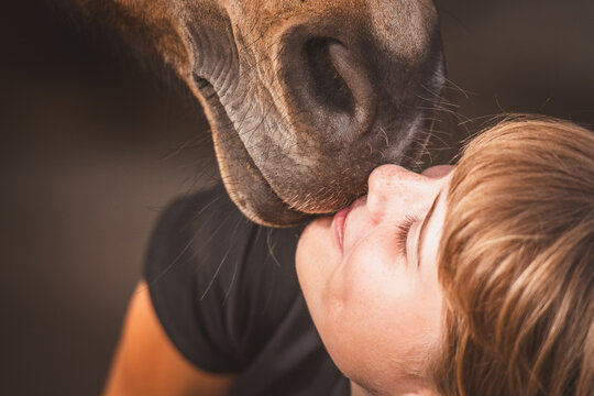 Pferdeliebe / Ponyliebe