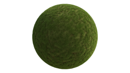 Globe Grass landscape no background 