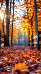 Autumn Path Through a Sunlit Forest