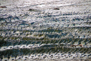 Tire tracks in the sand of an ocean beach