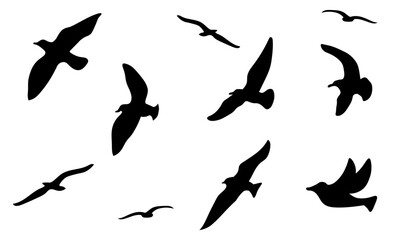 空を飛ぶ鳥の大群のシルエットイラスト
