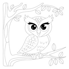Kawaii Owl Cartoon Line Draw Coloring Page
