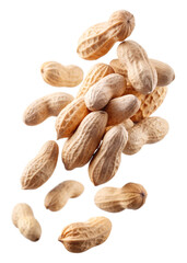 Obraz premium almonds on white background