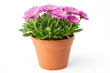 Small pink flower pot with a pink flower in it