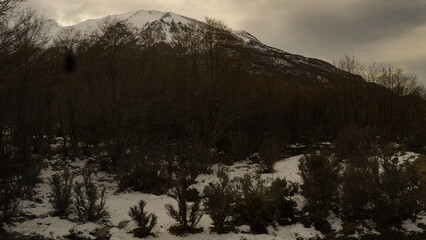 Imagen capturada en la Patagonia Argentina cerca de Ushuaia, al otro lado del Canal Beagle. Los...