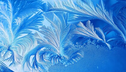Obraz premium Blue and white image of ice crystals