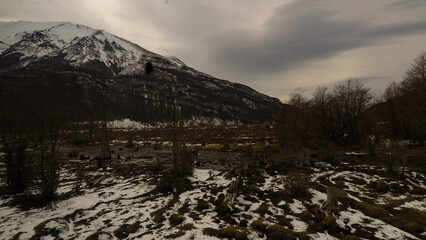 Imagen capturada en la Patagonia Argentina cerca de Ushuaia, al otro lado del Canal Beagle. Los...