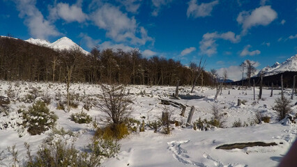 Imagen captada en la Patagonia Argentina cerca de Ushuaia, en la que se pueden observar los...