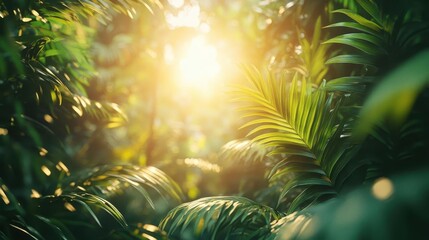 Tropical jungle, close-up of dense green foliage and sunlight filtering through