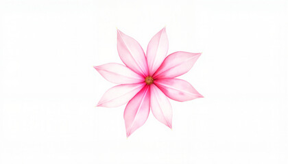 Obraz premium Pink magnolia flower on white background