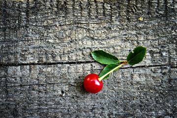 Fresh Cherry on Rustic Wooden Surface