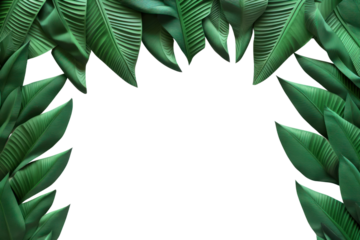 PNG Banana leaves border backgrounds plant green.