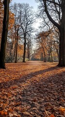 An inviting pathway winds through a park, blanketed with fallen amber leaves. Tall trees stretch their bare branches towards a bright blue sky, creating a peaceful atmosphere