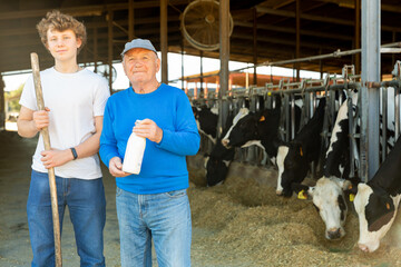Positive aged man dairy farm owner standing with teen grandson near stalls with cows on sunny...