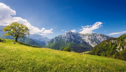 Fototapeta premium landscape with sky