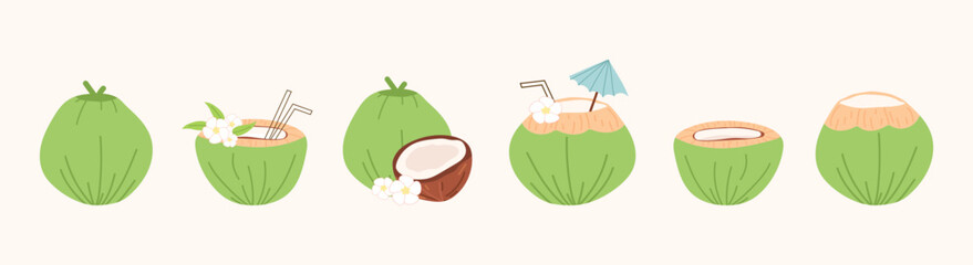 coconut. green coconut. drinking coconut. A tropical fruit. coconut grew on a palm tree. coconut milk. an exquisite cocktail. a fruit painted in a flat style. vector. delicious milk.