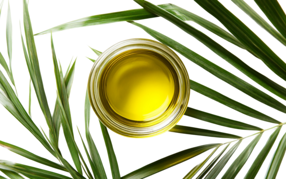 A Small Jar of Anointing Oil Surrounded by Tiny Sacred Symbols Isolated On Transparent Background.