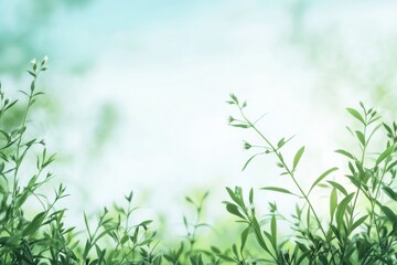 Naklejka premium Lush green plants captured in bright daylight with a soft blurred background during the spring season. Generative AI