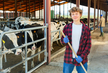 Portrait of confident smiling teen boy working in outdoor cowshed, standing with tool near stall...