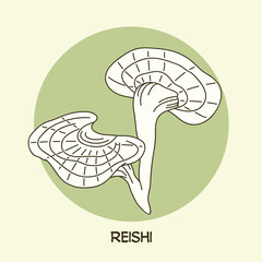 Reishi mushroom botanical line art drawing. Best for organic cosmetics, ayurveda, alternative medicine. Vector illustration on light green background.