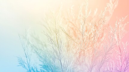 Pastel-hued Frost-Covered Branches, Delicate Winter Flora
