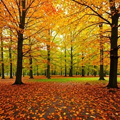 Obraz premium Autumn Background