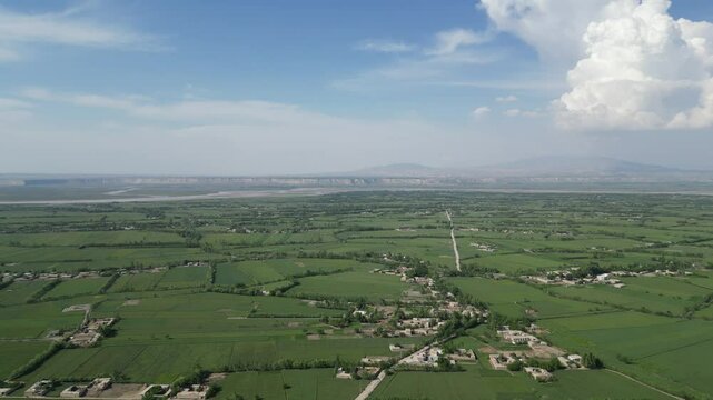 Green fields of Balkh province in Afghanistan