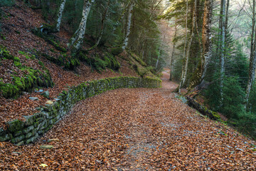 Panoramic view of forests and rivers, Ordesa National Park and Monte Perdido.