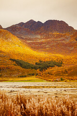 Archipelag Lofoten Islands Norway Nordland Arctic Circle