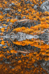 Archipelag Lofoten Islands Norway Nordland Arctic Circle