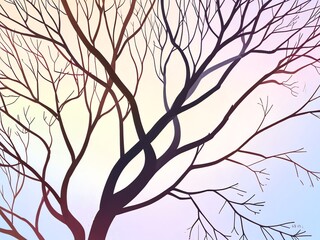 Bare Branches Against a Pastel Sky: A Serene Winter Scene
