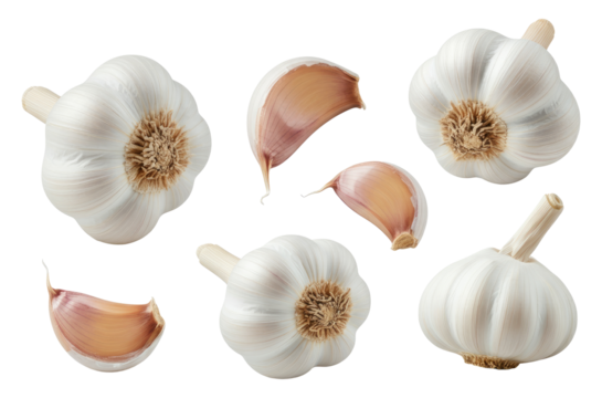 Top view of whole garlic bulbs and cloves, isolated on transparent background