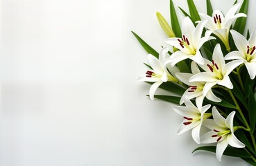 Elegant white flowers arranged on white background. Clustered arrangement suggests remembrance memorial design. Perfect for sympathy cards condolence messages. Beautiful display for funeral services