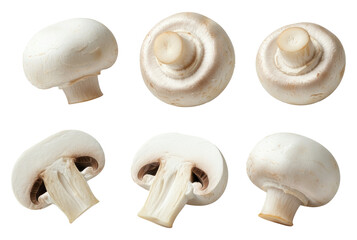 Six different views of white mushrooms, showcasing their caps and stems on transparent background