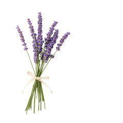 Obraz premium A beautiful bouquet of lavender tied with a ribbon, perfect for home decor or floral arrangements.