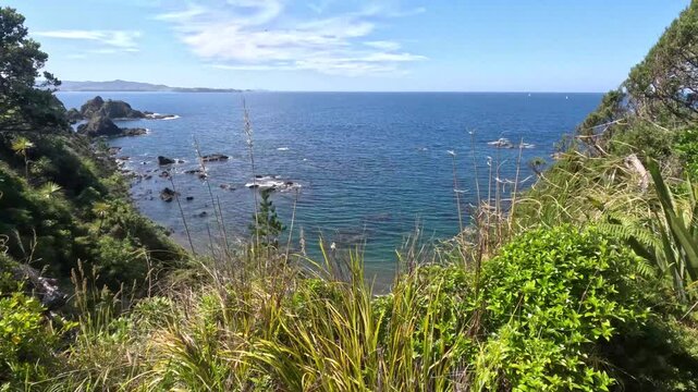 Matapouri Bay New Zealand Tilt Up To Ocean View