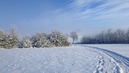 Kempenfeldrom. Winter landscape in the Eggegebirge mountains. 