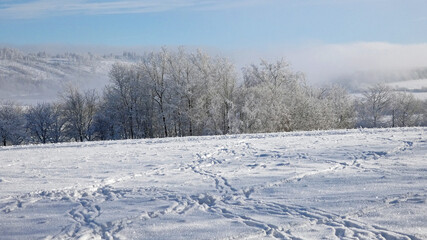 Obraz premium Kempenfeldrom. Winter landscape in the Eggegebirge mountains. 