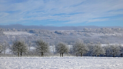 Kempenfeldrom. Winter landscape in the Eggegebirge mountains. 